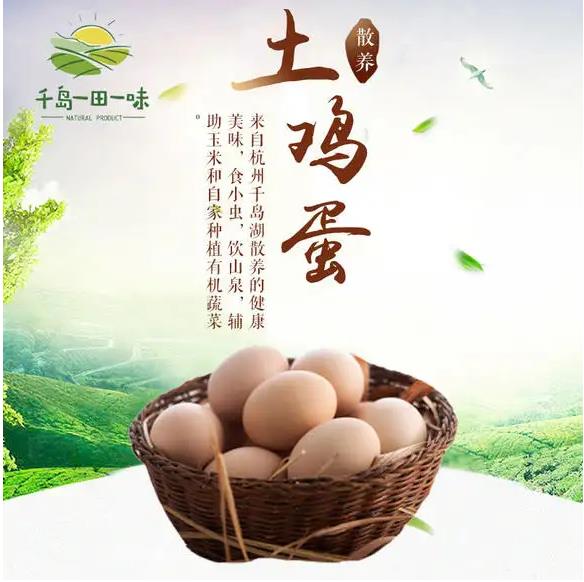 土雞蛋包裝設計 土雞蛋包裝設計